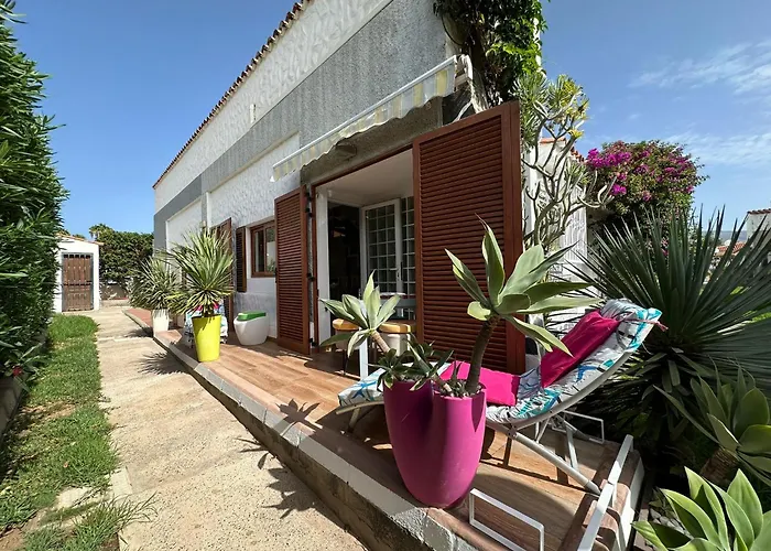 Parrot Cage - The Gay *