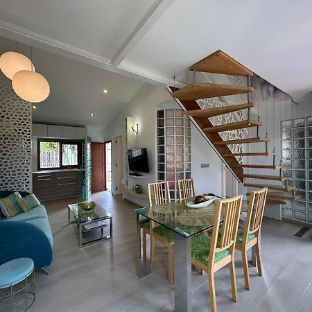 Villa Parrot Cage - The Gay