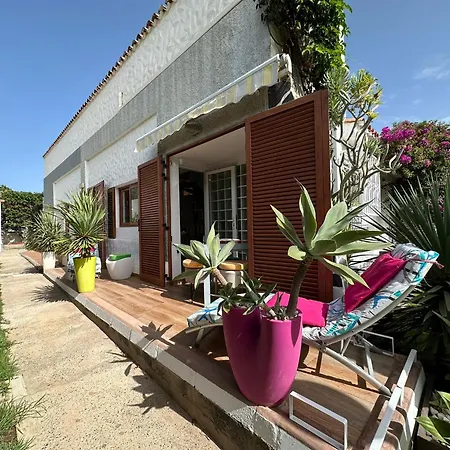 Parrot Cage - The Gay *