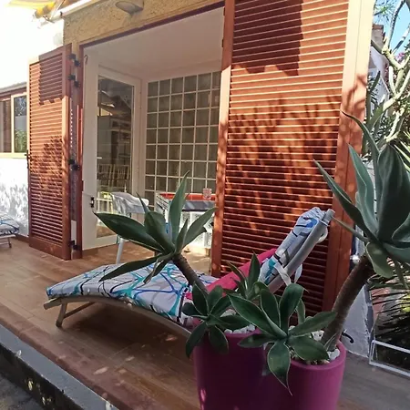 Parrot Cage - The Gay Playa del Ingles (Gran Canaria)