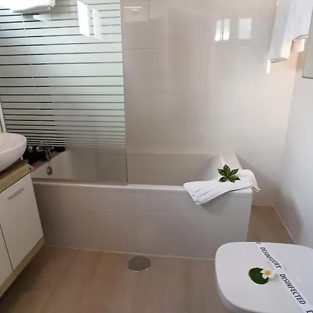 Parrot Cage - The Gay Willa