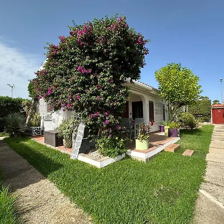 ヴィラ Parrot Cage - The Gay