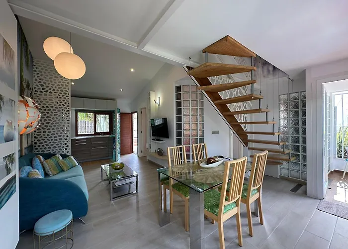 Villa Parrot Cage - The Gay