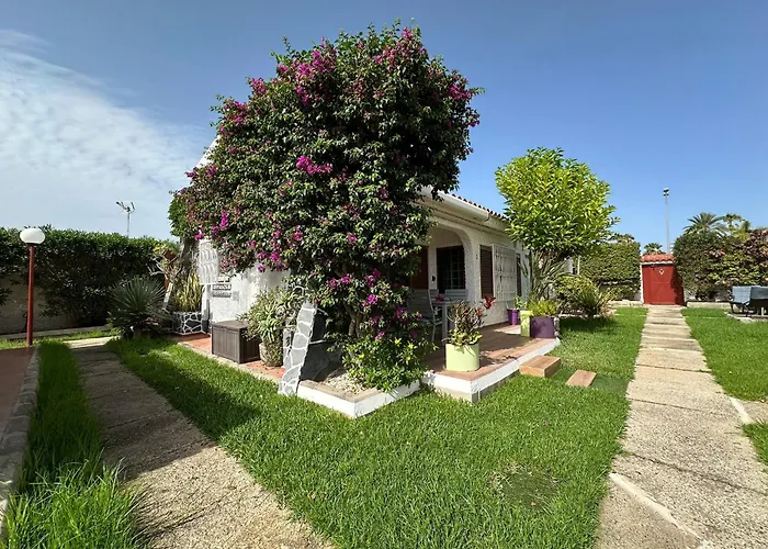 Villa Parrot Cage - The Gay