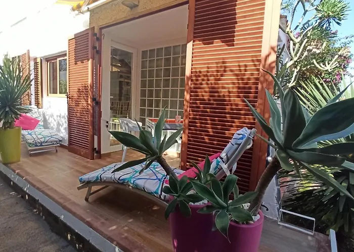 Parrot Cage - The Gay Playa del Inglés