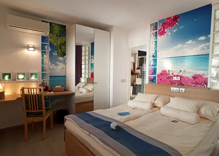 Parrot Cage - The Gay *